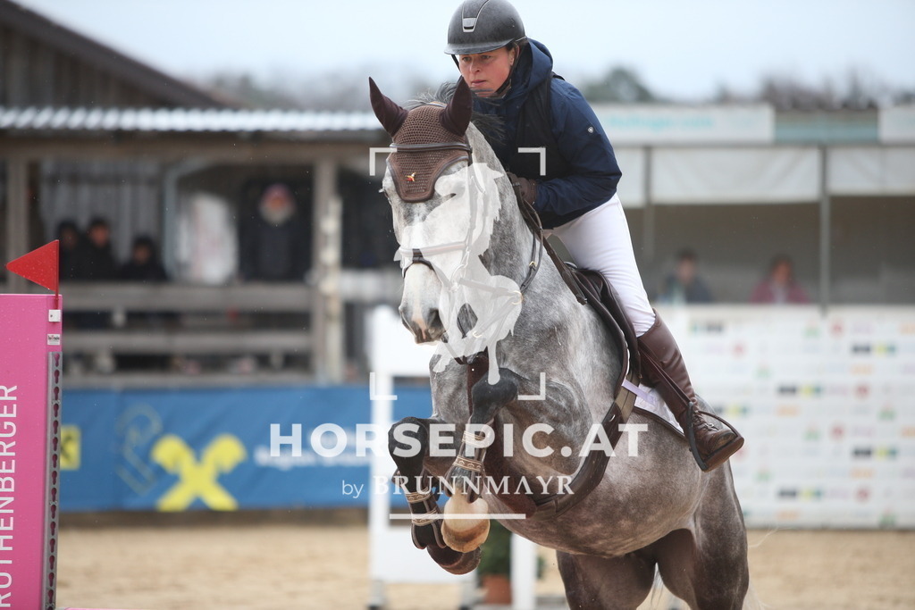 AS8V9491 | Willkommen bei Brunnmayr - Design & Fotografie – Ihrem Spezialisten für Reitturniere und Pferdeveranstaltungen in Oberösterreich, Salzburg und Bayern! Seit über 17 Jahren sind wir leidenschaftlich dabei.