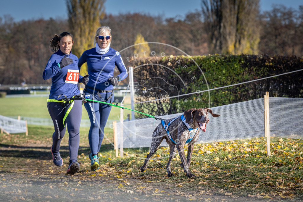 CaniXpix_DV3A9749 | Hundefotografie, Tierfotograf, Pfotenfotografie, Fotoshooting Hund, Hunde Portrait, Hundesport, Hundeportraits, Heideshooting, Hunde, Sportfotograf, Hundefotograf, Turnierhundsport, THS,  - Realisiert mit Pictrs.com