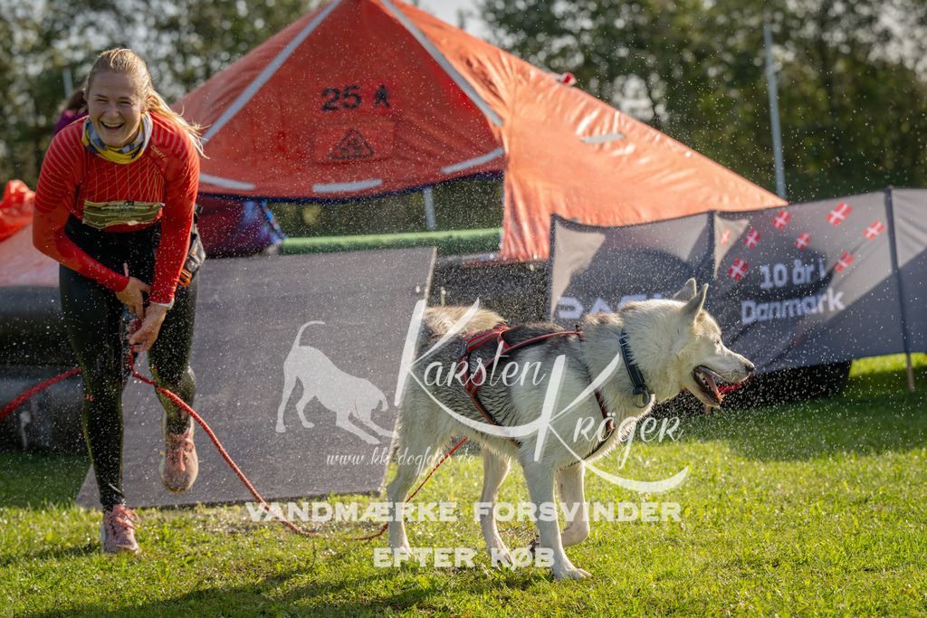 1118-92028 | kk-dogfotos