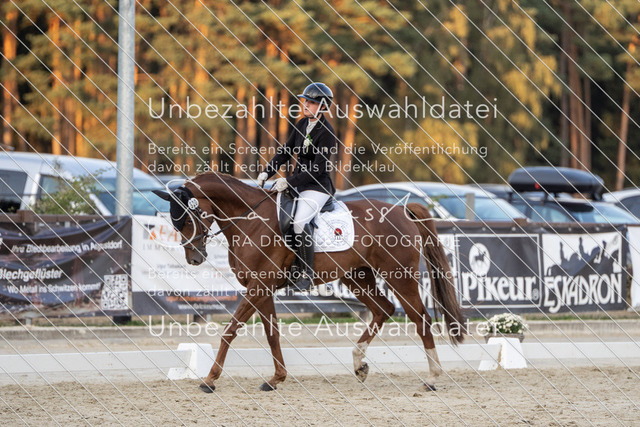 LR261_SD_08171 | saradresslerfotografie - Realisiert mit Pictrs.com