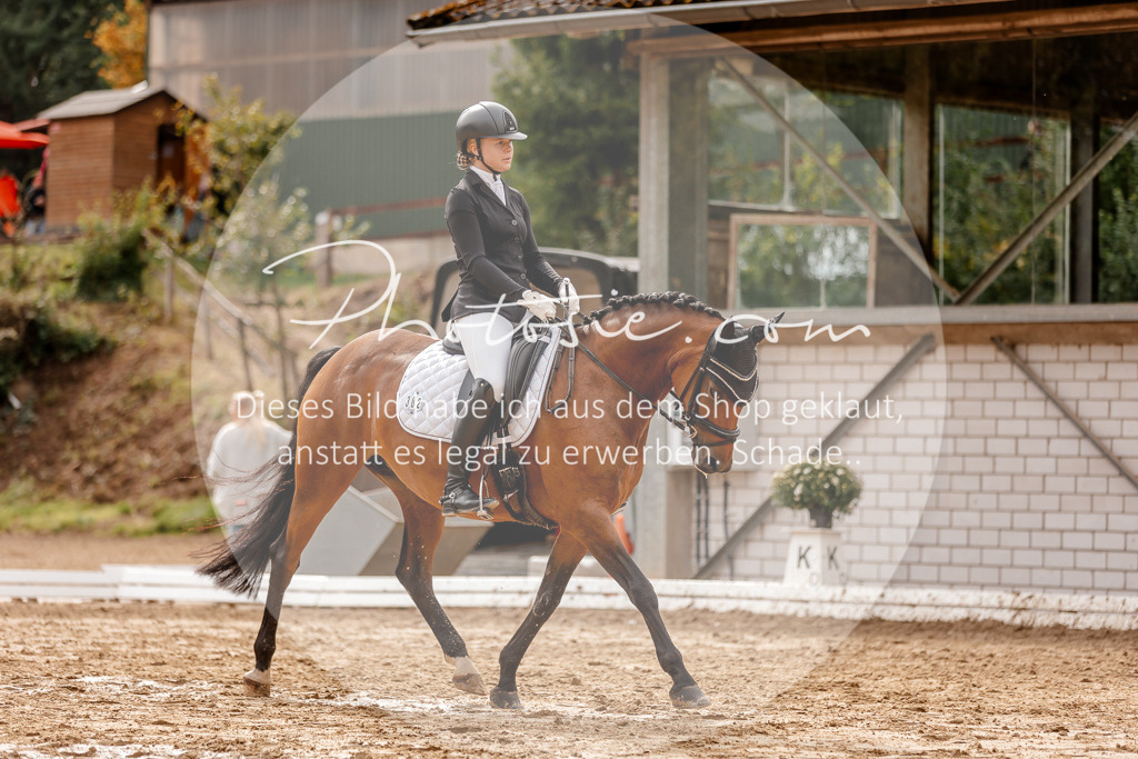 3I6A7429 | Stimmungsvolle Portraits und Reitsportfotografie im Ruhrgebiet und im Münsterland.

Pferdefotografie, Hundefotografie, Tierfotografie, Reportagen, Portraits von Tier und Mensch, Turnierfotografie in Bochum, Recklinghausen, Marl, Haltern am See, Dülmen.. - Realisiert mit Pictrs.com