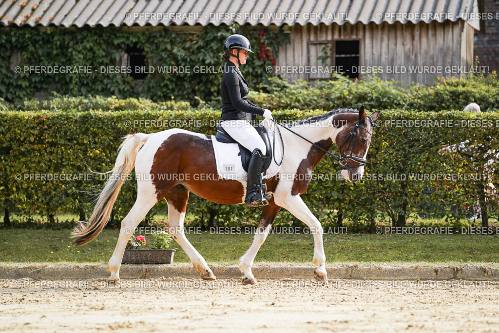 DSC04314 | Pferdegrafie