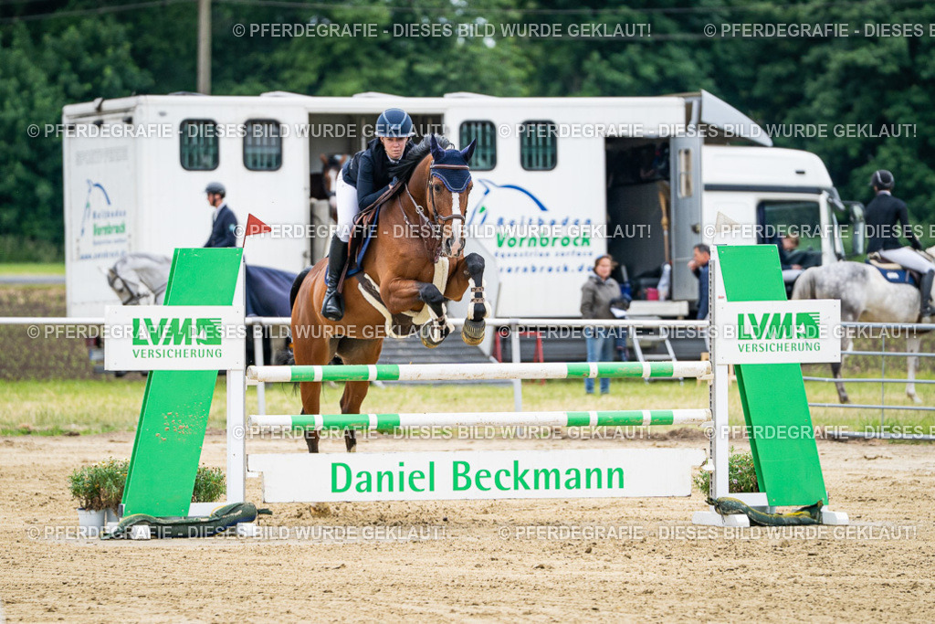 DSC06160 | Pferdegrafie