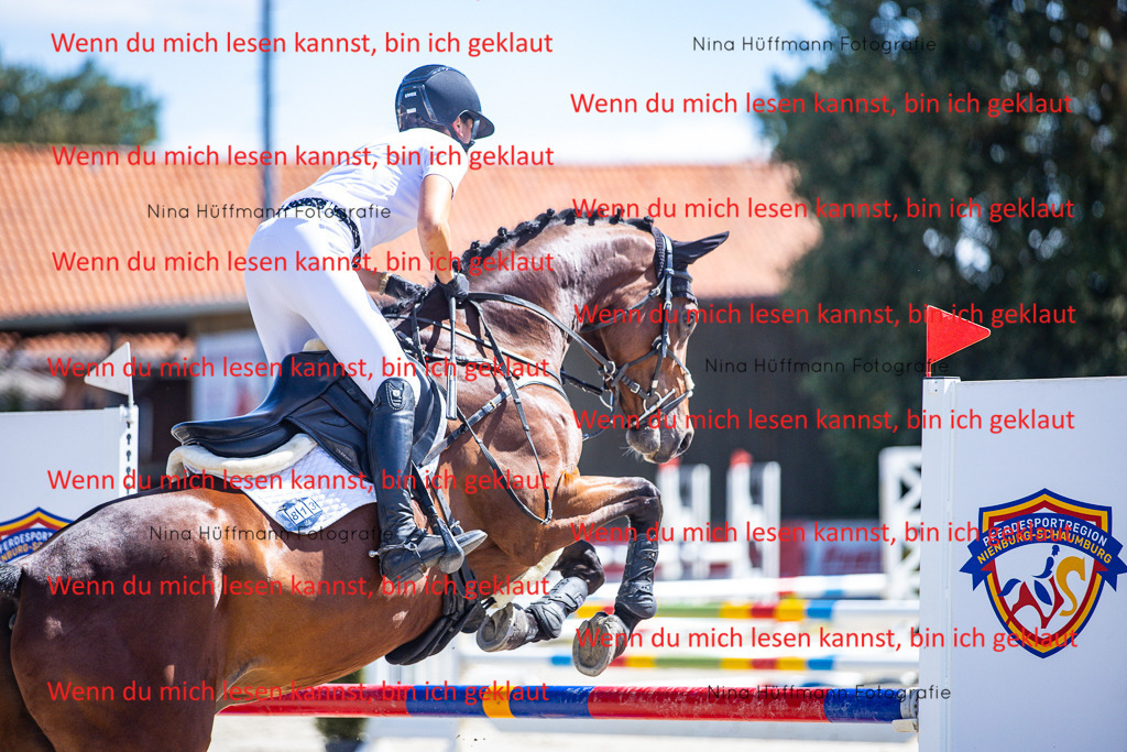 BK1A5384 | Turnierbilder Turnierfotos Nina Hüffmann Turnierfotografie Pferdefotografie Tierzeichnung Haustierzeichnung Pferdezeichnung Hundezeichnung Videograf  - Realisiert mit Pictrs.com
