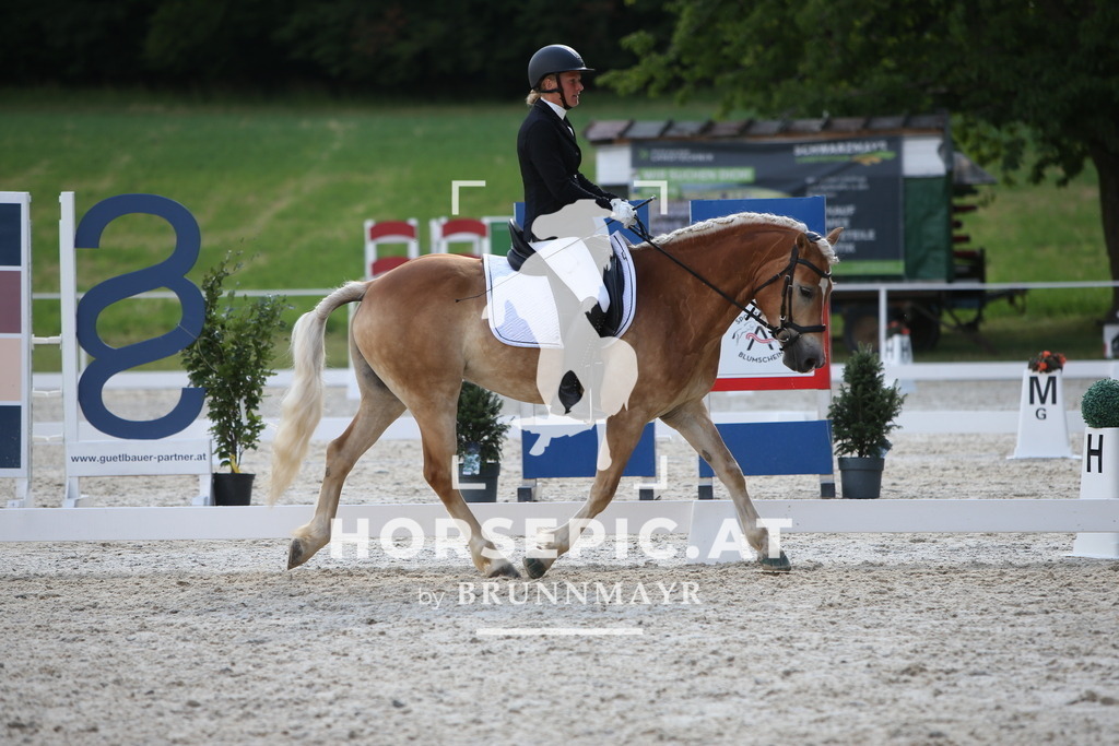 PP012526 | Willkommen bei Brunnmayr - Design & Fotografie – Ihrem Spezialisten für Reitturniere und Pferdeveranstaltungen in Oberösterreich, Salzburg und Bayern! Seit über 17 Jahren sind wir leidenschaftlich dabei.