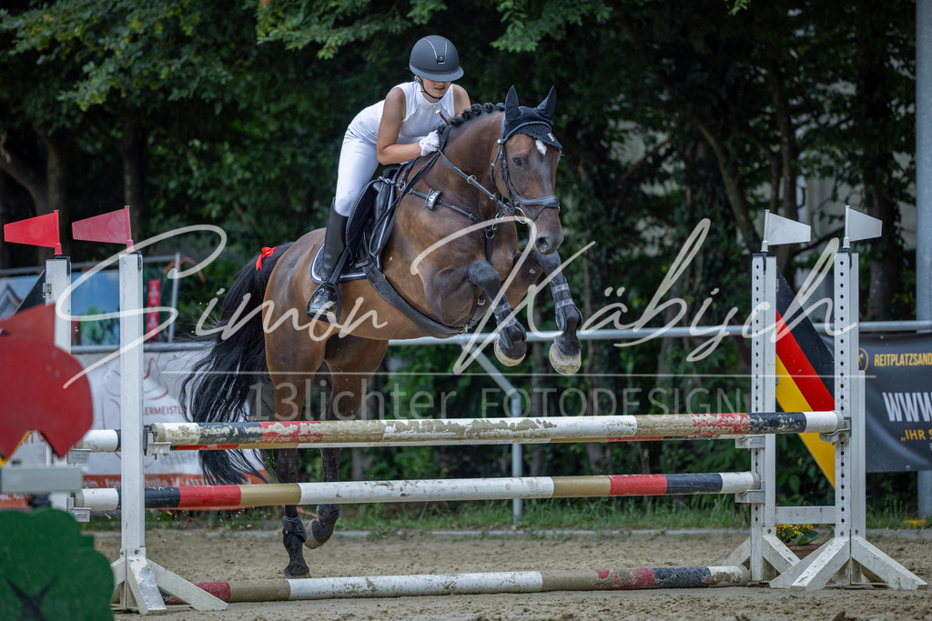 20260704-_3LI8852 | Tierfotografie Pferde, Hunde, Katzen, Haustiere.
Turnierfotografie Reitturniere, Reiten, Springreiten, Dressur in Hanau, dem Main-Kinzig-Kreis und dem Rhein-Main- Gebiet um Frankfurt