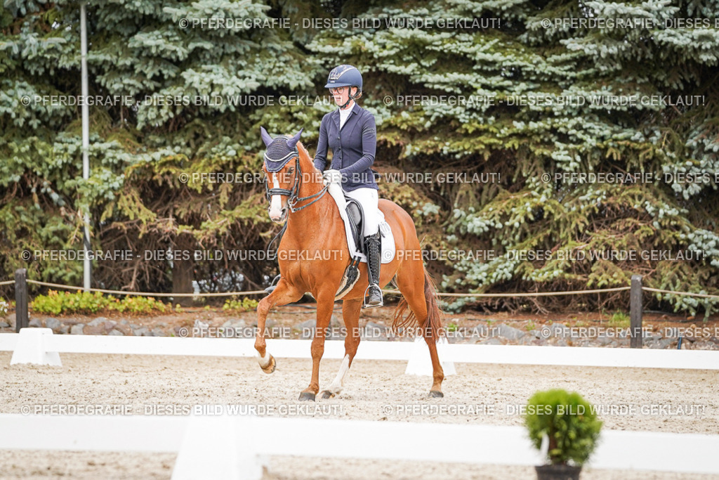 DSC07070 | Pferdegrafie