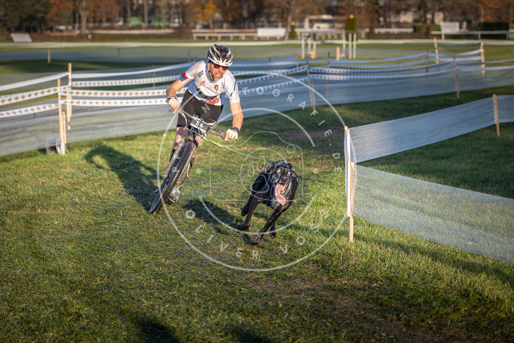 CaniXpix_0L8A3069 | Hundefotografie, Tierfotograf, Pfotenfotografie, Fotoshooting Hund, Hunde Portrait, Hundesport, Hundeportraits, Heideshooting, Hunde, Sportfotograf, Hundefotograf, Turnierhundsport, THS,  - Realisiert mit Pictrs.com