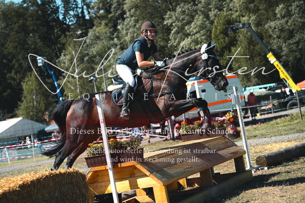 DSC_8040 | Pferde- und Turnierfotografie in Westsachsen. Pferdeportraits, Auftragszeichnungen und intuitive Kunst.