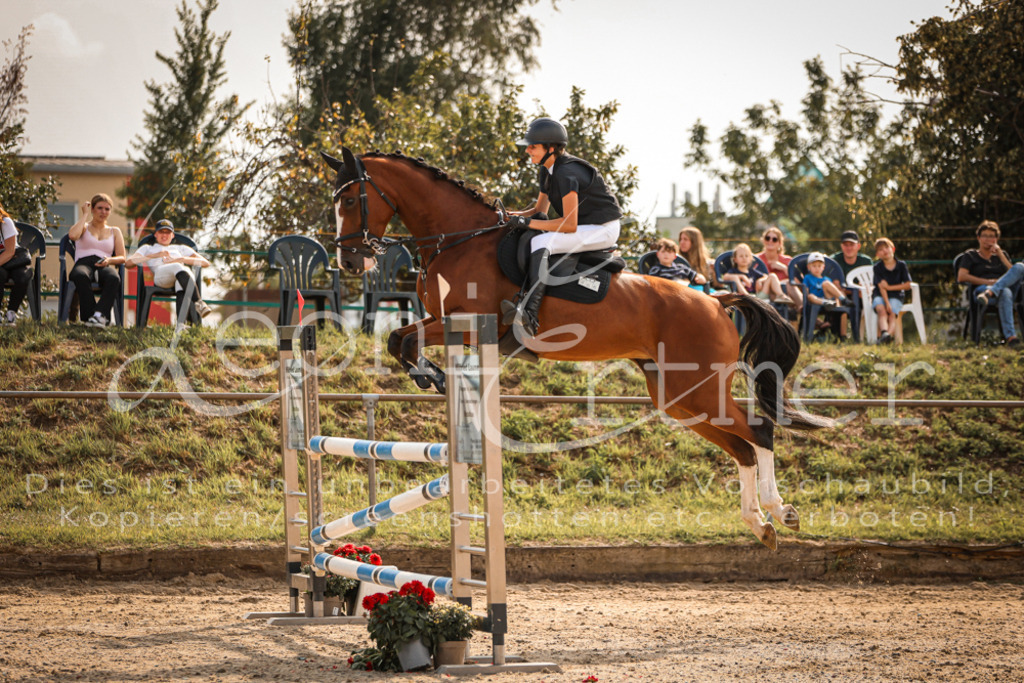 29.SaSpL00176 | Leoni Ertmer Photography - Realisiert mit Pictrs.com