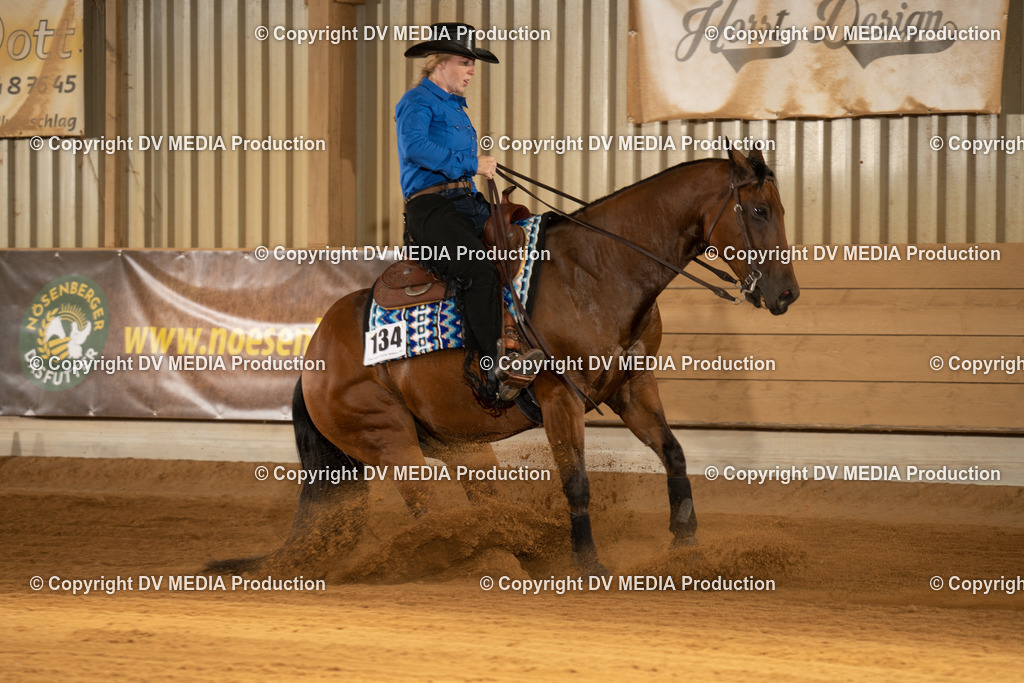 NID01920 | dv-media-shop - Realisiert mit Pictrs.com