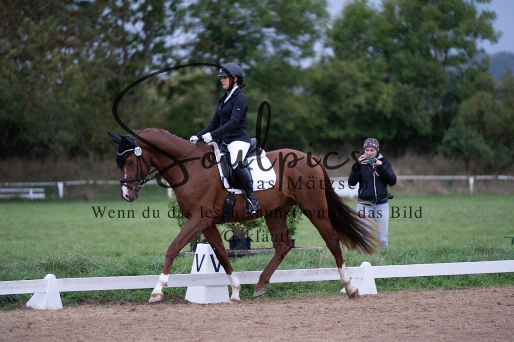 A7V04883 | Pferdefotograf