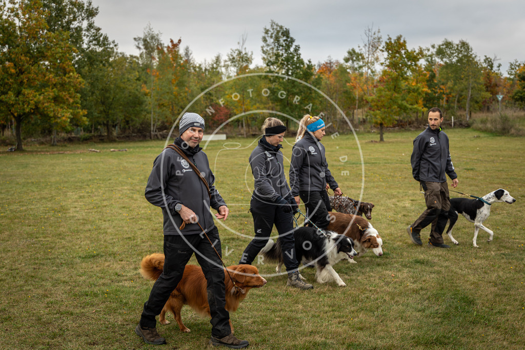 Pfotenfotografie_0L8A0254 | Hundefotografie, Tierfotograf, Pfotenfotografie, Fotoshooting Hund, Hunde Portrait, Hundesport, Hundeportraits, Heideshooting, Hunde, Sportfotograf, Hundefotograf, Turnierhundsport, THS,  - Realisiert mit Pictrs.com