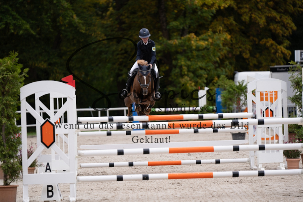 A7V01055 | Pferdefotograf