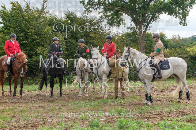 Jagd Perdoel_MarinaHewigDSCF3786 | Fotografie, FotoArt, PferdesportArt, Pferdesportfotografie, Landschaftsfotografie, Reisefotografie, Reise, Pferde - Realisiert mit Pictrs.com