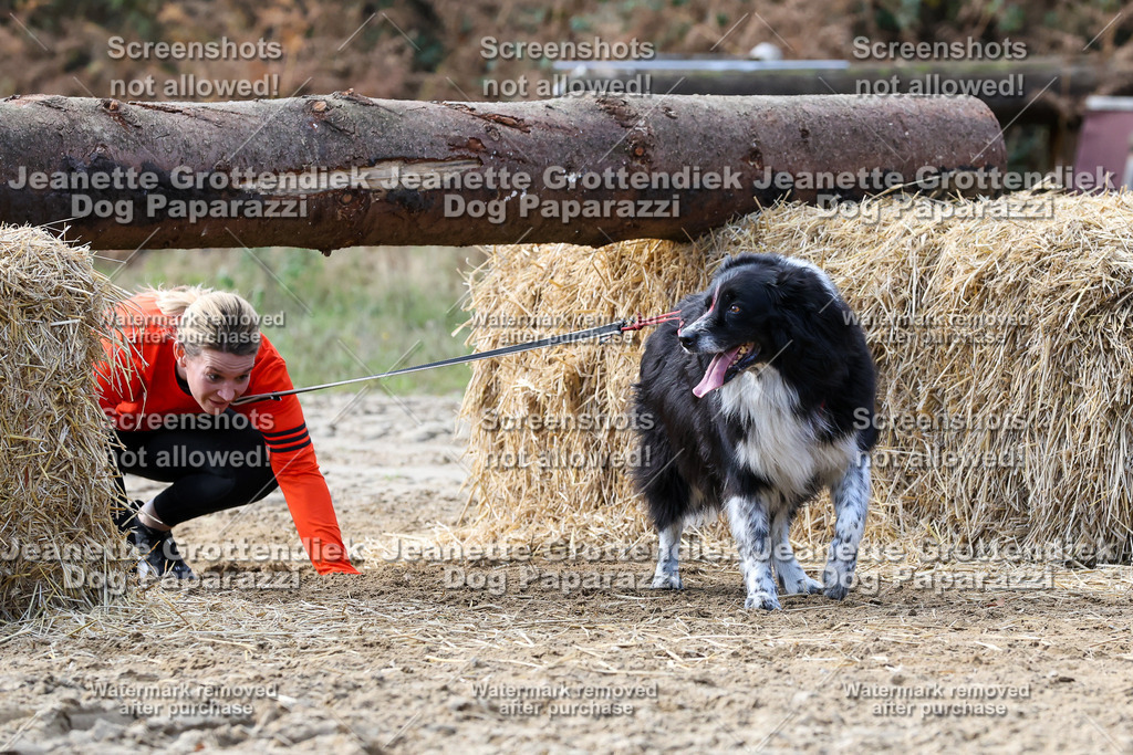 Dog Paparazzi - Strongdog 10-25-5438 | Dog Paparazzi Jeanette Grottendiek Fotografie & Videografie - Realisiert mit Pictrs.com