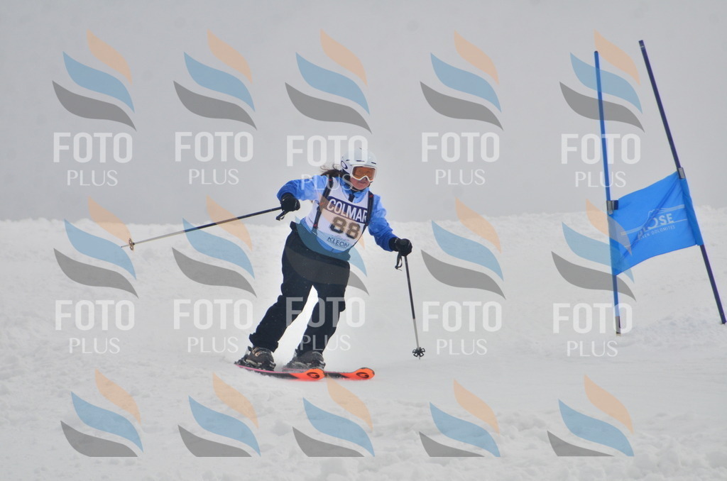 A5748 | holidayphoto