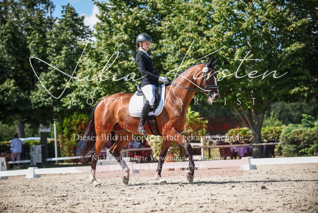 DSC_9476 | Pferde- und Turnierfotografie in Westsachsen. Pferdeportraits, Auftragszeichnungen und intuitive Kunst.