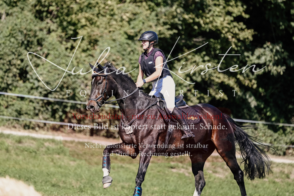 DSC_2909 | Pferde- und Turnierfotografie in Westsachsen. Pferdeportraits, Auftragszeichnungen und intuitive Kunst.