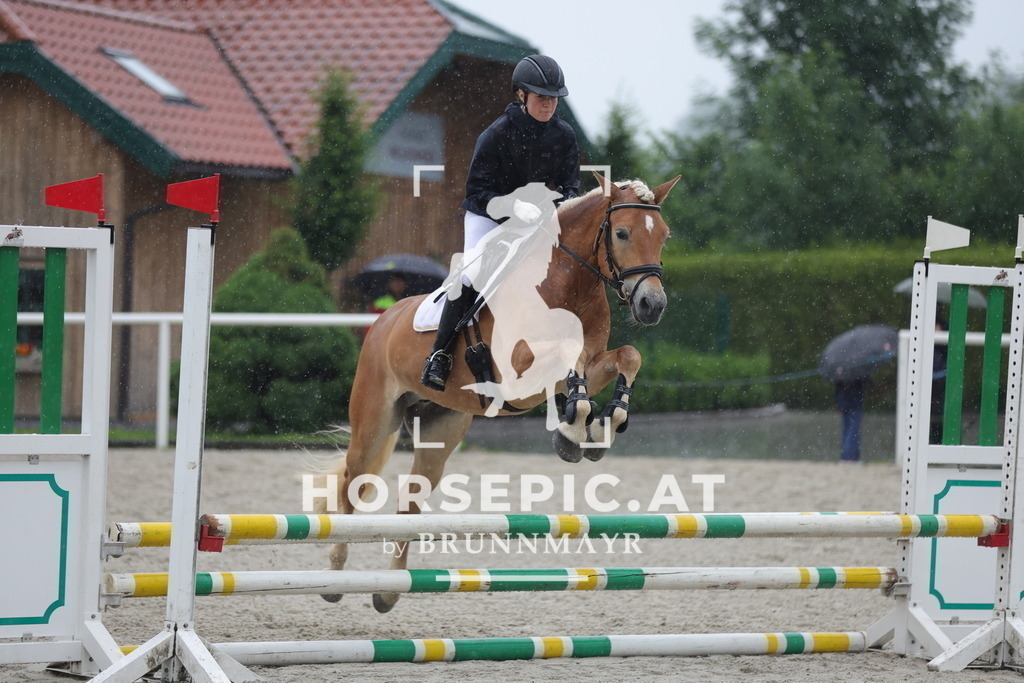 0P6A7635 | Willkommen bei Brunnmayr - Design & Fotografie – Ihrem Spezialisten für Reitturniere und Pferdeveranstaltungen in Oberösterreich, Salzburg und Bayern! Seit über 17 Jahren sind wir leidenschaftlich dabei.