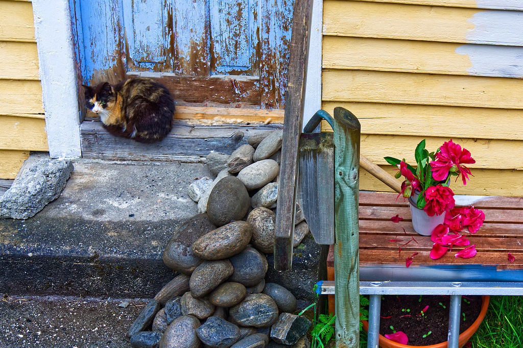 IMG_9768a | ansichtssache