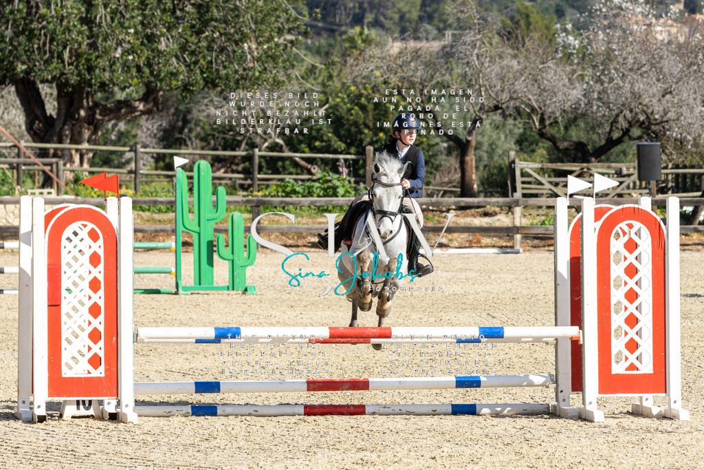 IMG_3779 | s-jay-photography - Realisiert mit Pictrs.com