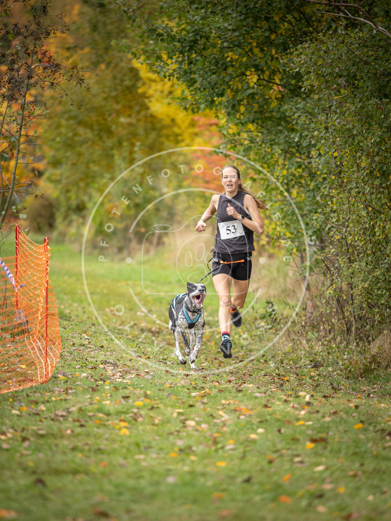 Pfotenfotografie_DV3A2519 | Hundefotografie, Tierfotograf, Pfotenfotografie, Fotoshooting Hund, Hunde Portrait, Hundesport, Hundeportraits, Heideshooting, Hunde, Sportfotograf, Hundefotograf, Turnierhundsport, THS,  - Realisiert mit Pictrs.com