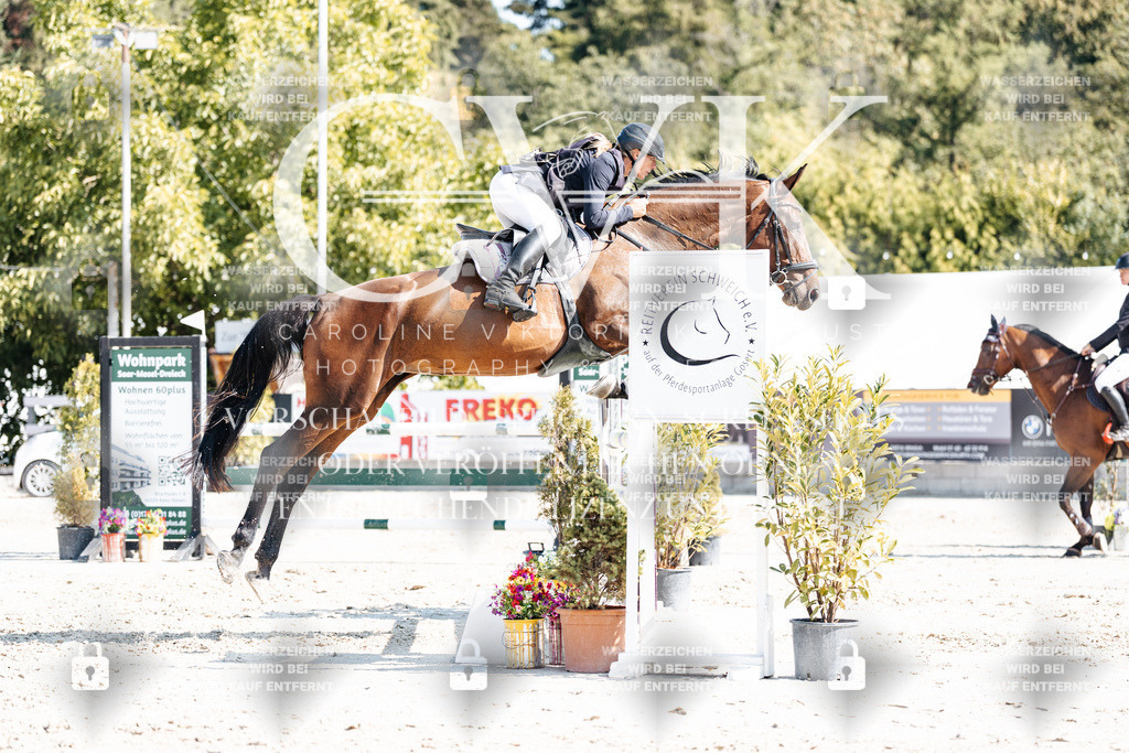 CK902664 | Turnierfotografie Pferdefotografie Trier Rheinland-Pfalz Pferdesport Reitsport Tierfotografie Sportfotografie Pferdevideo Pferdevideografie Equestrianvideography equestrianphotography  - Realisiert mit Pictrs.com