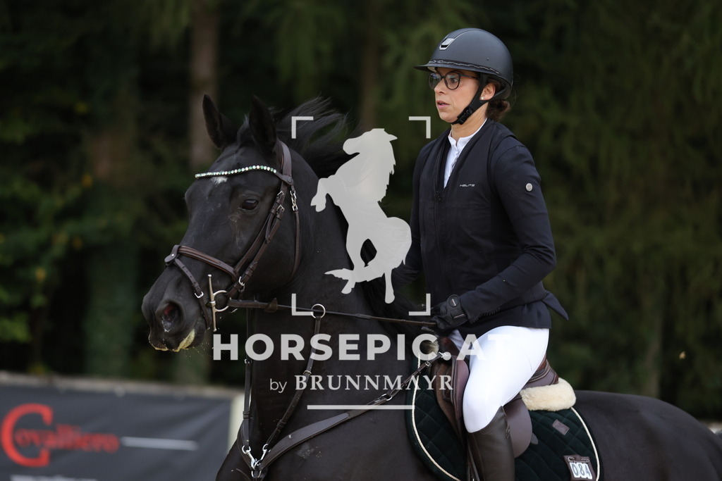 0P6A5117 | Willkommen bei Brunnmayr - Design & Fotografie – Ihrem Spezialisten für Reitturniere und Pferdeveranstaltungen in Oberösterreich, Salzburg und Bayern! Seit über 17 Jahren sind wir leidenschaftlich dabei.