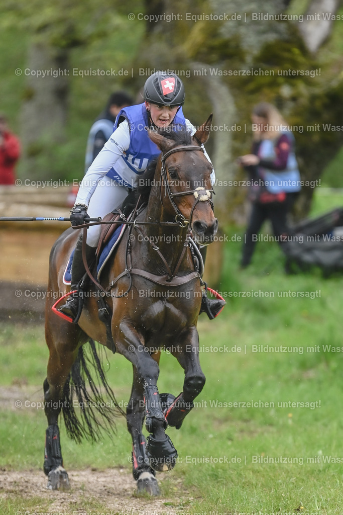 20230513_CCI4_Gelände_0096 | equistock