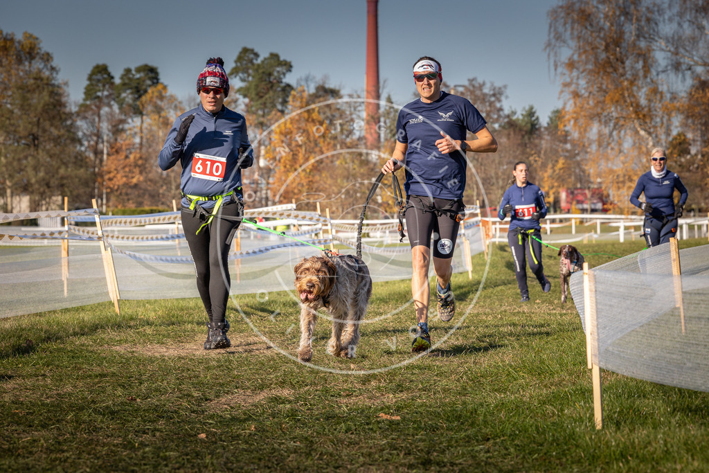 CaniXpix_0L8A8663 | Hundefotografie, Tierfotograf, Pfotenfotografie, Fotoshooting Hund, Hunde Portrait, Hundesport, Hundeportraits, Heideshooting, Hunde, Sportfotograf, Hundefotograf, Turnierhundsport, THS,  - Realisiert mit Pictrs.com