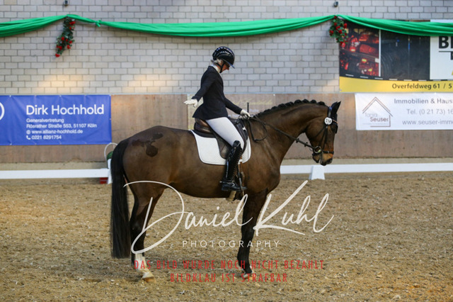 IMG_2715 | Turnierfotos kaufen im Webshop von Daniel Kuhl Photography – entdecke professionelle Reitsportfotos aus Turnieren & Events. Hochwertige Turnierbilder online bestellen & sichern. Jetzt Fotos von Reitsportturnieren kaufen!