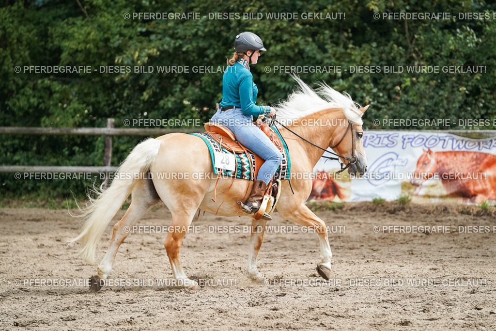 DSC04257 | Pferdegrafie