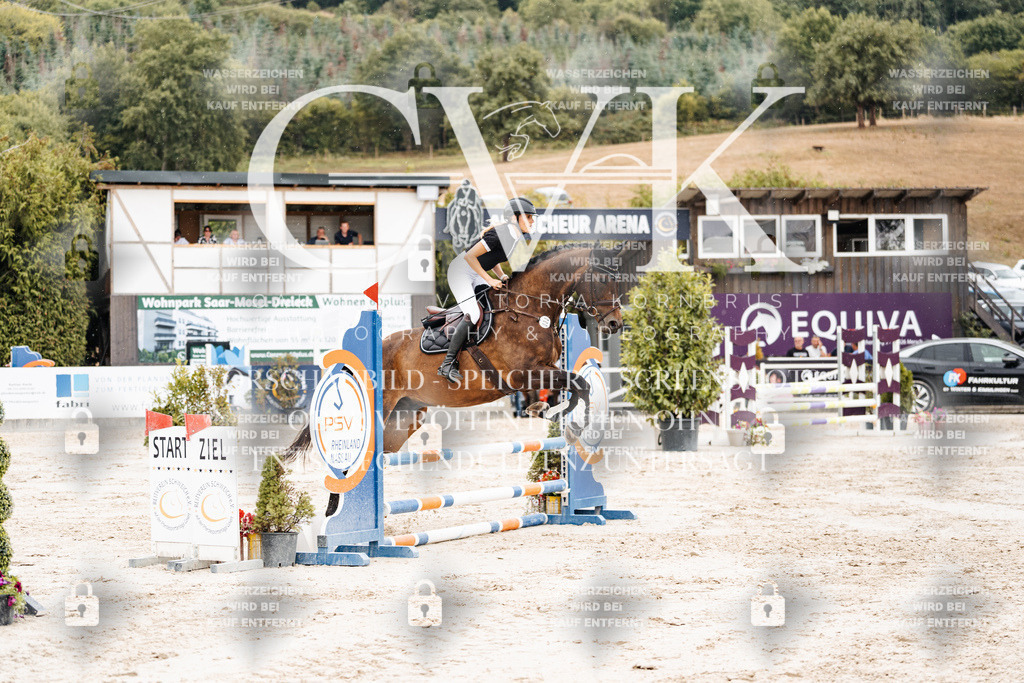 CK908506 | Turnierfotografie Pferdefotografie Trier Rheinland-Pfalz Pferdesport Reitsport Tierfotografie Sportfotografie Pferdevideo Pferdevideografie Equestrianvideography equestrianphotography  - Realisiert mit Pictrs.com