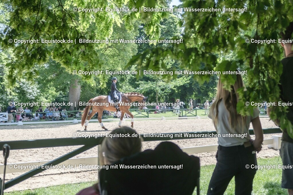 ZFC_4223 | equistock