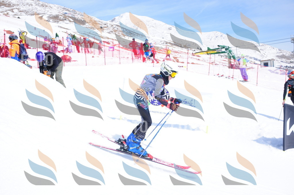 DSC_7125 | holidayphoto