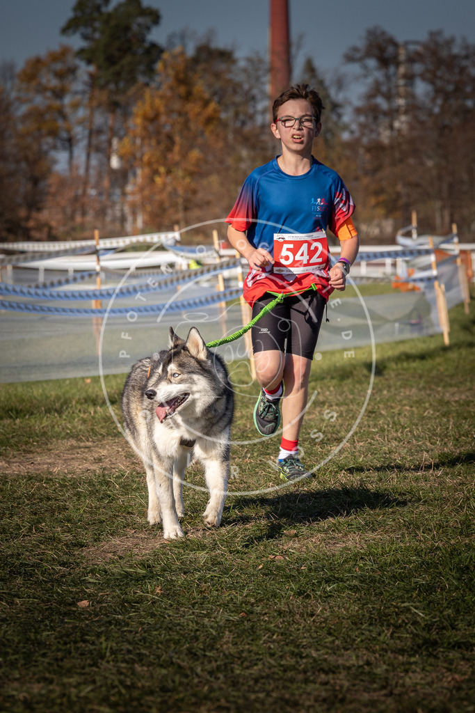 CaniXpix_0L8A7584 | Hundefotografie, Tierfotograf, Pfotenfotografie, Fotoshooting Hund, Hunde Portrait, Hundesport, Hundeportraits, Heideshooting, Hunde, Sportfotograf, Hundefotograf, Turnierhundsport, THS,  - Realisiert mit Pictrs.com