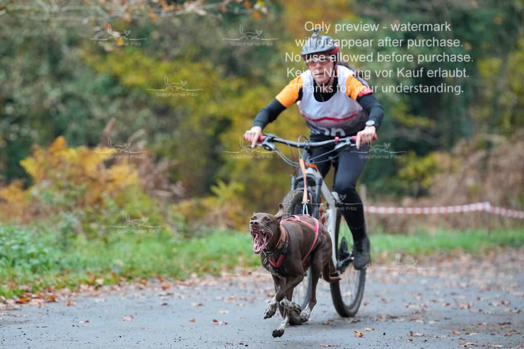 Bike_So-12 | stephaniefillaphotographie - Realisiert mit Pictrs.com