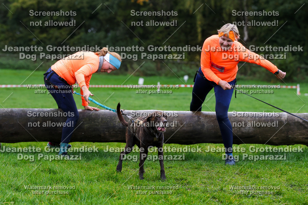 Dog Paparazzi -  SD1026-1327 | Dog Paparazzi Jeanette Grottendiek Fotografie & Videografie - Realisiert mit Pictrs.com