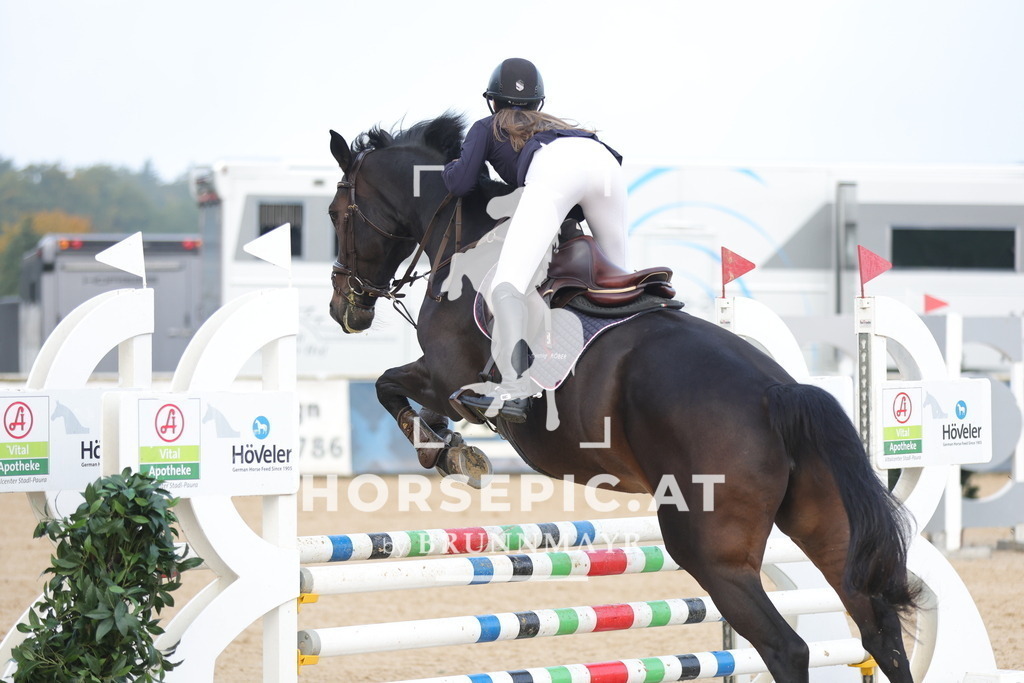 0P6A0981 | Willkommen bei Brunnmayr - Design & Fotografie – Ihrem Spezialisten für Reitturniere und Pferdeveranstaltungen in Oberösterreich, Salzburg und Bayern! Seit über 17 Jahren sind wir leidenschaftlich dabei.