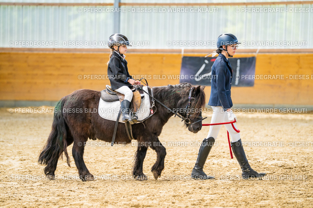 DSC00460 | Pferdegrafie