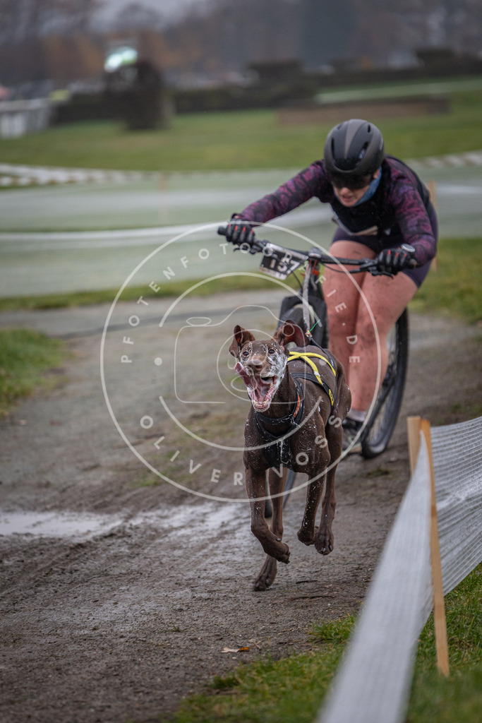 CaniXpix_0L8A0798 | Hundefotografie, Tierfotograf, Pfotenfotografie, Fotoshooting Hund, Hunde Portrait, Hundesport, Hundeportraits, Heideshooting, Hunde, Sportfotograf, Hundefotograf, Turnierhundsport, THS,  - Realisiert mit Pictrs.com