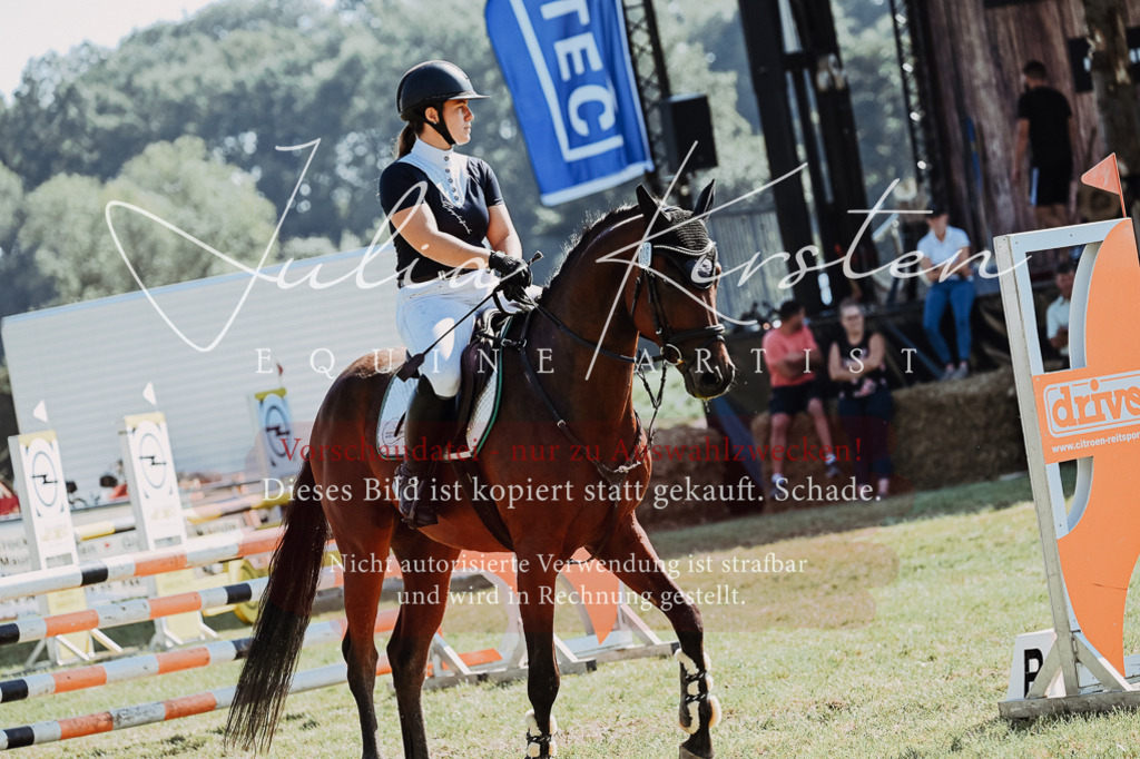 DSC_5696 | Pferde- und Turnierfotografie in Westsachsen. Pferdeportraits, Auftragszeichnungen und intuitive Kunst.