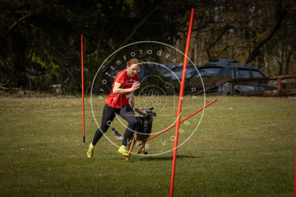 Pfotenfotografie_DV3A4890 | Hundefotografie, Tierfotograf, Pfotenfotografie, Fotoshooting Hund, Hunde Portrait, Hundesport, Hundeportraits, Heideshooting, Hunde, Sportfotograf, Hundefotograf, Turnierhundsport, THS,  - Realisiert mit Pictrs.com