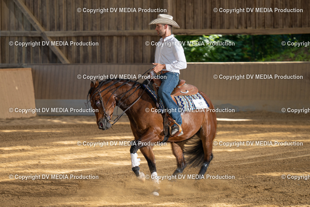 DSC00291 | dv-media-shop - Realisiert mit Pictrs.com