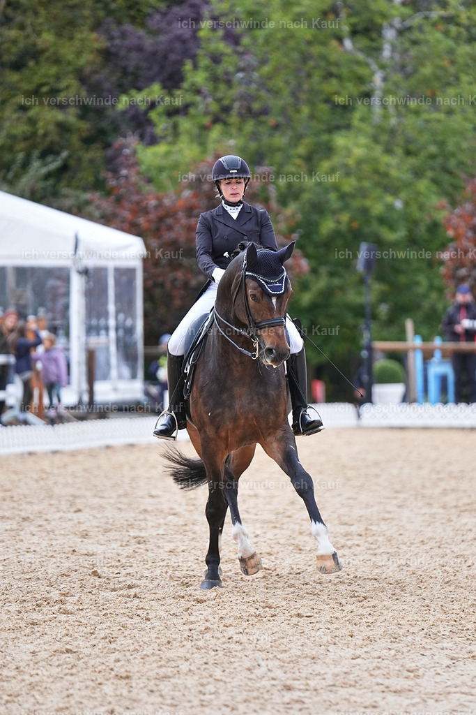 12-074-DRESSUR  S___  -Marixx-5246 | working equitationturnier fotograf videograf stoibphotography marixx film working equitation deutschland reitsport turnierfotografie eventfotografie equestrian events