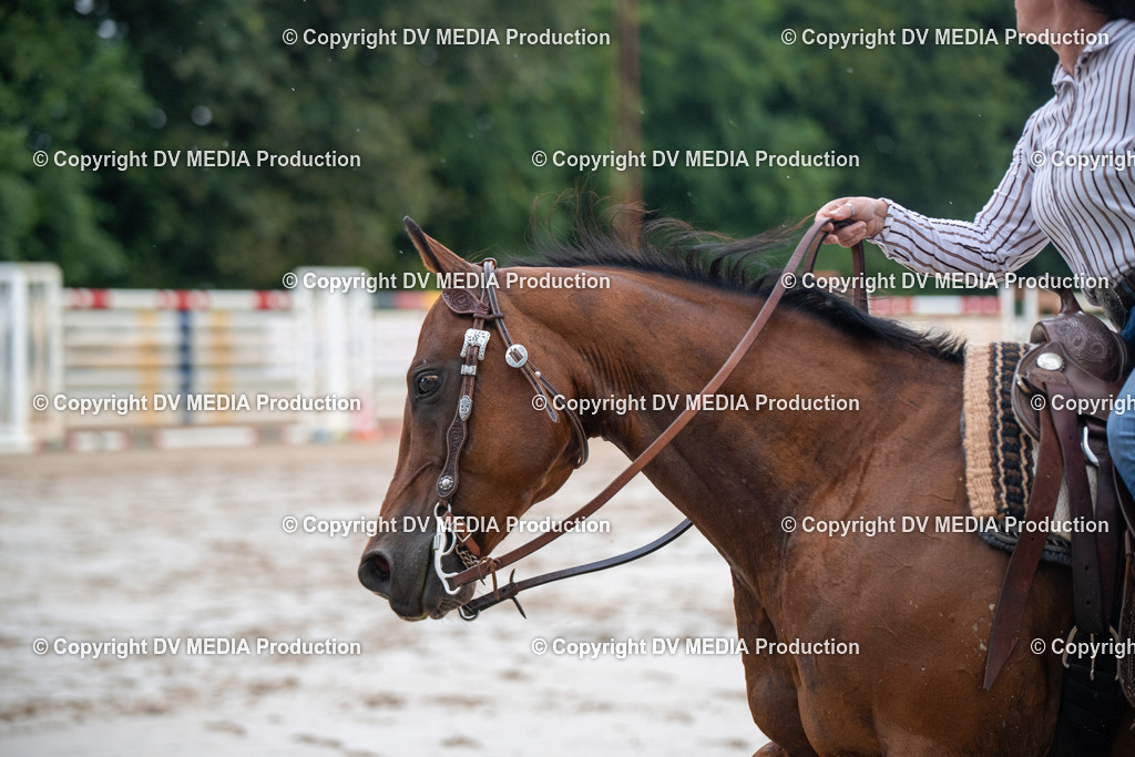 ZS2_4106 | dv-media-shop - Realisiert mit Pictrs.com