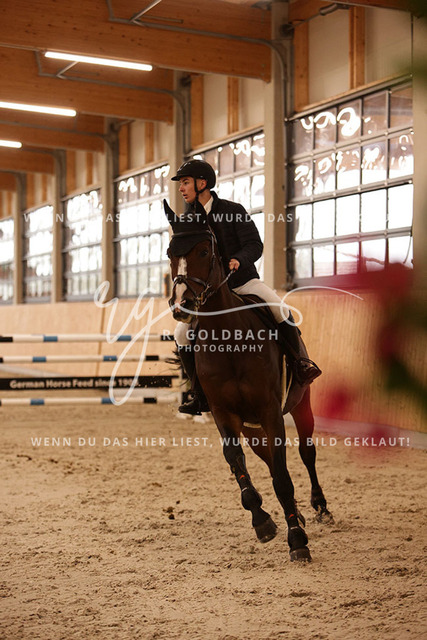 1J2A6480Karl Mattis Krummheuer_ Ascalino 3_ Kn016_ Glantz_ Hohen Wieschendorf | Foto- und Videografie für alles rund ums Pferd. Hochwertige Bilder und Videos vom Spring- und Dressurreiten, Voltigieren & mehr. Jetzt aktuelle Veranstaltungen und Preise im Shop ansehen. - Realisiert mit Pictrs.com