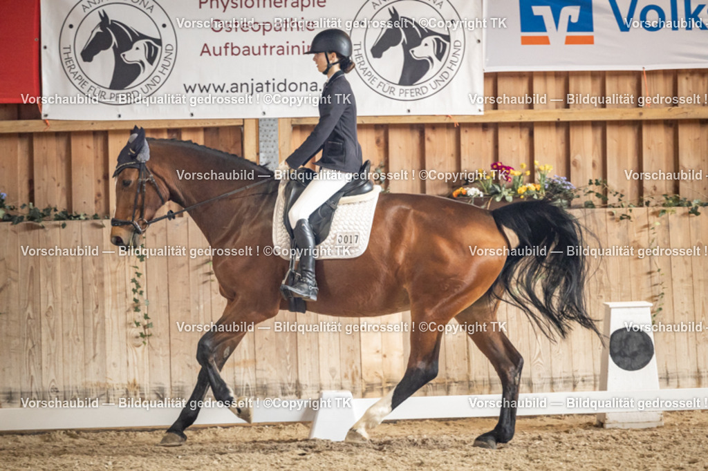 _D5A1382 | Emotionale Pferde- & People-Fotografie rund um Heidelberg, Leimen & Umgebung. Natürliche Fotos von Pferd, Mensch & Familie. Jetzt Termin sichern!