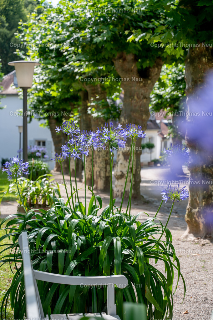 DSC_2605 | Der Staatspark Fürstenlager in Bensheim Auerbach, an der hessischen Bergstraße- ist ein wunderschöner Landschaftspark nach englischen Vorbild. Es war die Sommerresidenz der Darmstädter Fürstenfamilie die hier das "einfache Landleben" genossen. Zu jeder Jahreszeit kann man das Fürstenlager als Ausflugsziel empfehlen. Im Herrenhaus ist eine Gastronomie untergebracht. Im Sommer findet auf der Bühne vor der großen Wiese ein Opern-Air statt, 
